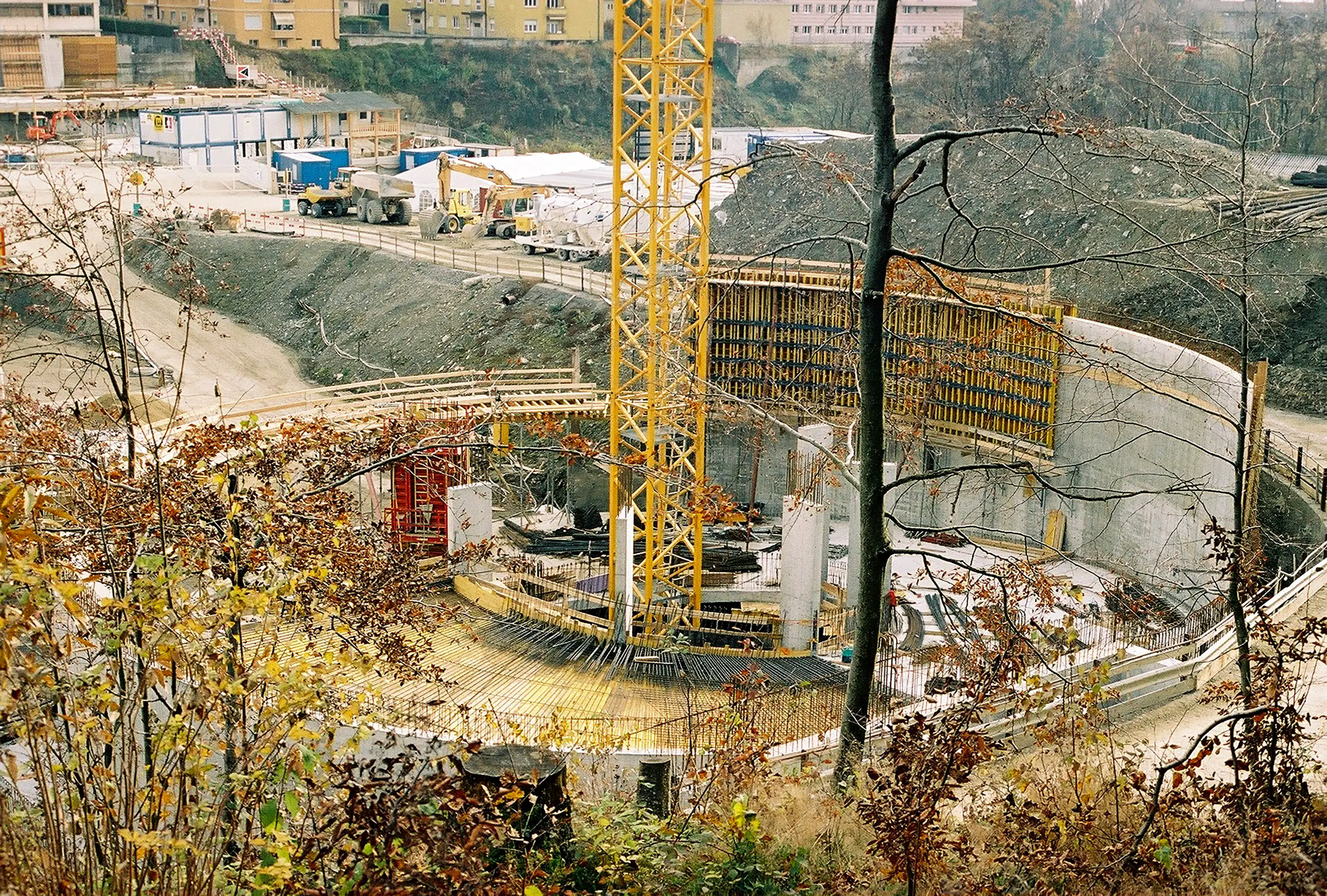 Vignette